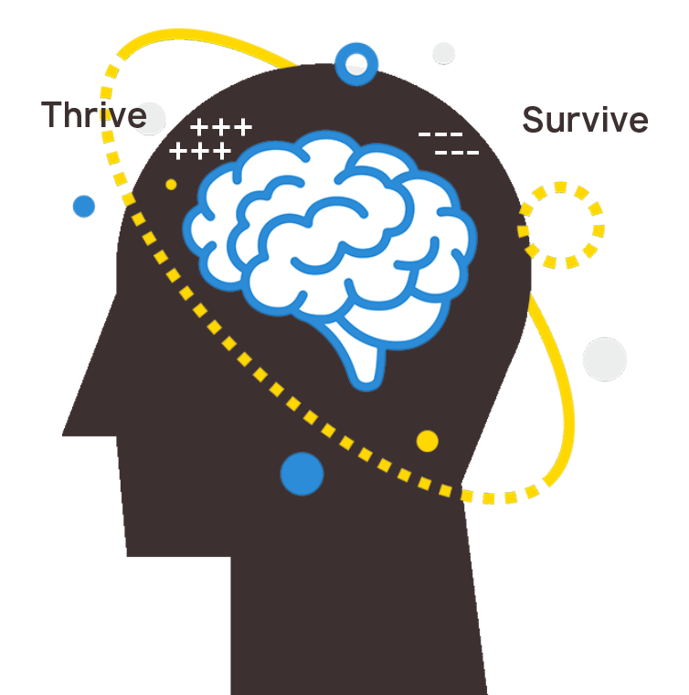 Paradox - About Image