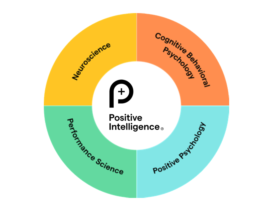 Paradox - About Image